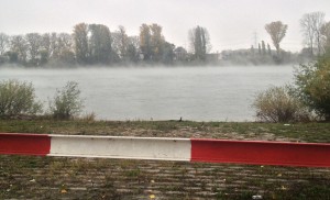 Nebel über dem Wasser des Rheins