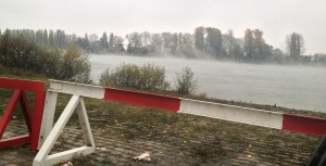Nebel über dem Rhein