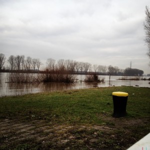 Hochwasser an der Natostraße in Lampertheim. Aufgenommen mit der Hipstamatic