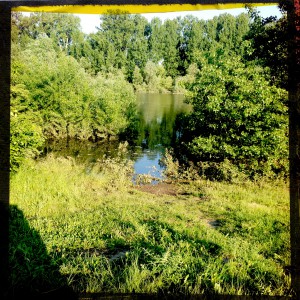 Hochwasser auf dem Biedensand in Lampertheim. Aufgenommen mit der Hipstamatic am 07.06.2013