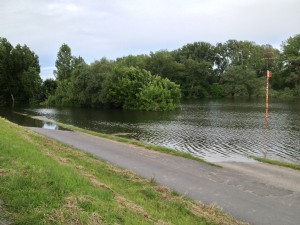 Biedensandparkplatz in Lampertheim steht komplett unter Wasser