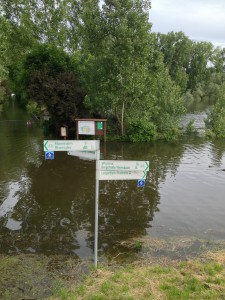 Blick auf den Biedensand in Lampertheim beim Hochwasser im Sommer 2013