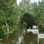 Blick auf den Biedensand in Lampertheim beim Hochwasser im Sommer 2013