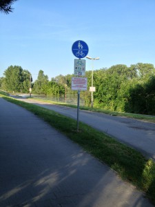 Hochwasser am Rheindamm in Lampertheim-Mittwoch-1