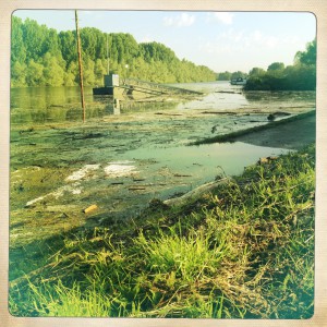 Hochwasser auf dem Biedensand in Lampertheim. Aufgenommen mit der Hipstamatic am 07.06.2013