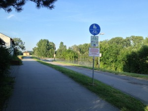 Hochwasser am Rheindamm in Lampertheim-Mittwoch-2