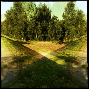 Hochwasser auf dem Biedensand in Lampertheim. Aufgenommen mit der Hipstamatic am 07.06.2013