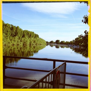 Hochwasser auf dem Biedensand in Lampertheim. Aufgenommen mit der Hipstamatic am 16.06.2013