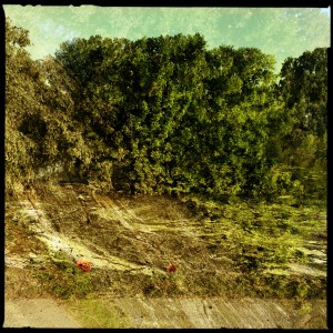 Hochwasser auf dem Biedensand in Lampertheim. Aufgenommen mit der Hipstamatic am 07.06.2013