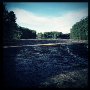 Hochwasser auf dem Biedensand in Lampertheim. Aufgenommen mit der Hipstamatic am 16.06.2013