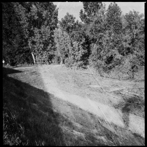 Hochwasser auf dem Biedensand in Lampertheim. Aufgenommen mit der Hipstamatic am 07.06.2013