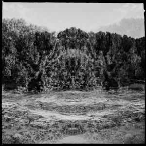 Hochwasser auf dem Biedensand in Lampertheim. Aufgenommen mit der Hipstamatic am 07.06.2013