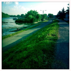 Hochwasser auf dem Biedensand in Lampertheim. Aufgenommen mit der Hipstamatic am 07.06.2013