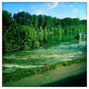 Hochwasser auf dem Biedensand in Lampertheim. Aufgenommen mit der Hipstamatic am 07.06.2013