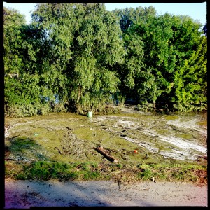 Hochwasser auf dem Biedensand in Lampertheim. Aufgenommen mit der Hipstamatic am 07.06.2013