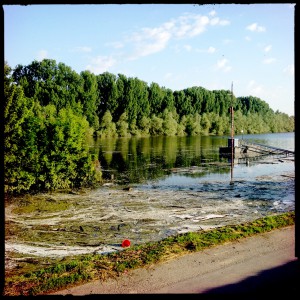 Hochwasser auf dem Biedensand in Lampertheim. Aufgenommen mit der Hipstamatic am 07.06.2013