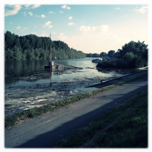 Hochwasser auf dem Biedensand in Lampertheim. Aufgenommen mit der Hipstamatic am 07.06.2013