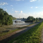 Hochwasser auf dem Biedensand in Lampertheim am 07.06.2013