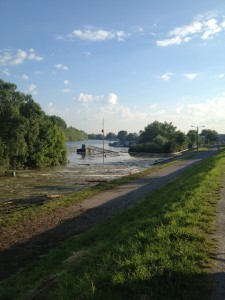 Hochwasser auf dem Biedensand in Lampertheim am 07.06.2013