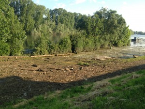 Hochwasser auf dem Biedensand in Lampertheim am 07.06.2013