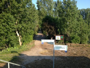 Hochwasser auf dem Biedensand in Lampertheim am 07.06.2013