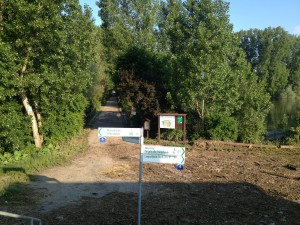 Hochwasser auf dem Biedensand in Lampertheim am 07.06.2013