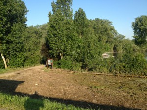 Hochwasser auf dem Biedensand in Lampertheim am 07.06.2013