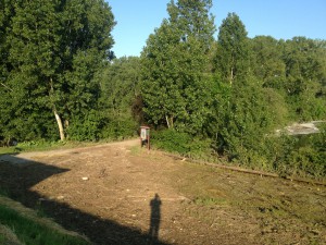 Hochwasser auf dem Biedensand in Lampertheim am 07.06.2013