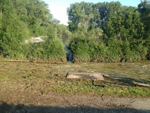 Hochwasser auf dem Biedensand in Lampertheim am 07.06.2013