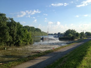 Hochwasser auf dem Biedensand in Lampertheim am 07.06.2013