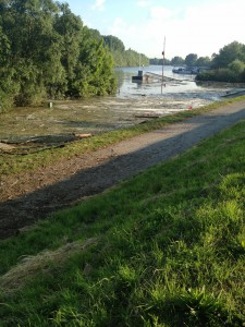 Hochwasser auf dem Biedensand in Lampertheim am 07.06.2013