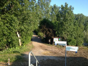 Hochwasser auf dem Biedensand in Lampertheim am 07.06.2013