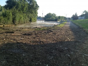 Hochwasser auf dem Biedensand in Lampertheim. Aufgenommen am 07.06.2013