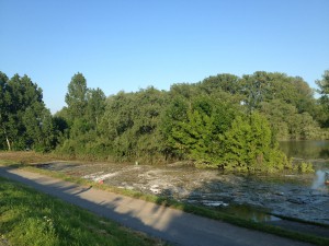 Hochwasser auf dem Biedensand in Lampertheim am 07.06.2013