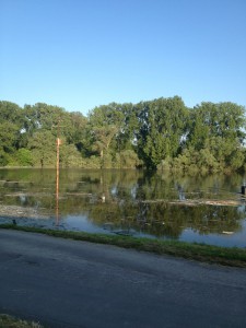 Hochwasser auf dem Biedensand in Lampertheim am 07.06.2013