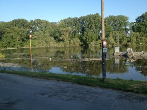 Hochwasser auf dem Biedensand in Lampertheim am 07.06.2013