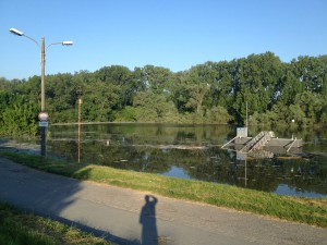Hochwasser auf dem Biedensand in Lampertheim am 07.06.2013