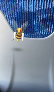 Ein Bibor der mir im Zug begegnete