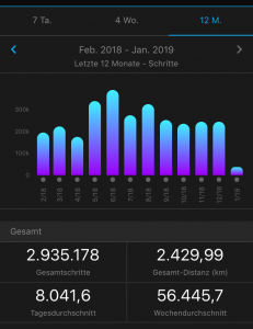 Zurückgelegte Schritte 2018