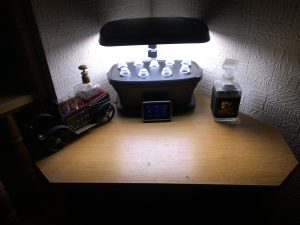 Mein Indoor Garten direkt nach der Aussaht