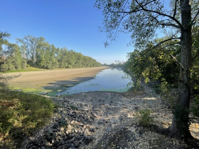 Breiter Blick von der Biedensandbrücke auf das weitgehend trockengefallene Flussbett bei Lampertheim; nur rechts verbleibt ein schmaler Wasserlauf.