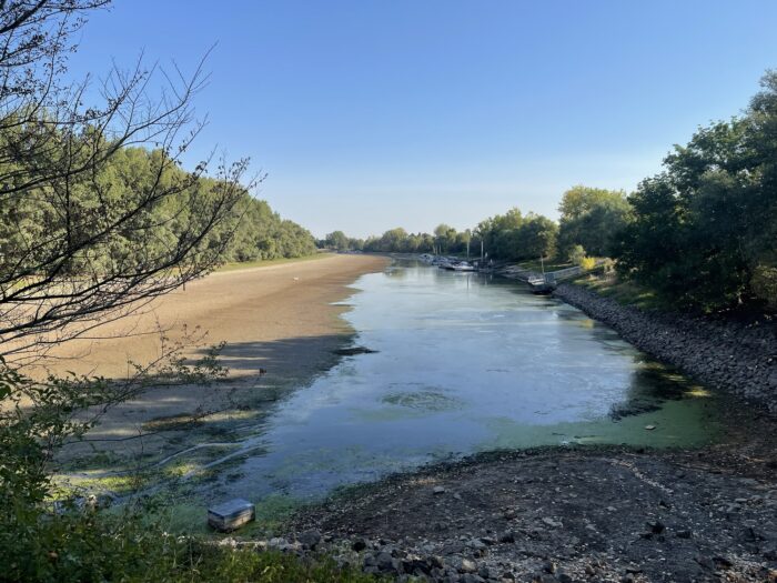 Trockengefallenes Flussbett und schmaler Restwasserlauf bei Lampertheim; auf der Wasseroberfläche ist ein grünlicher Film zu erkennen.