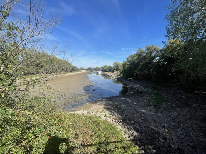 Zweiter Blick auf den Lampertheimer Altrhein am 26. September 2026; breite Flächen des Flussbetts und der steinige Uferbereich liegen trocken.