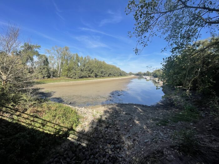 Weitgehend trockengefallenes Bett des Lampertheimer Altrheins am 26. September 2026 mit schmalem Wasserlauf auf der rechten Seite.