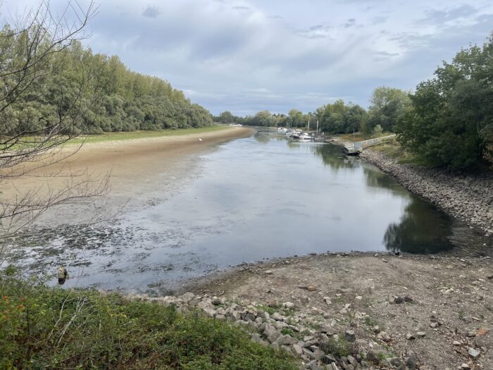 Blick von der Biedensandbrücke auf das weitgehend trockengefallene Bett des Lampertheimer Altrheins am 20. September 2026; rechts bleibt ein schmaler Wasserlauf.